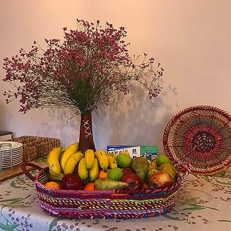 Hotel Rural Triana
