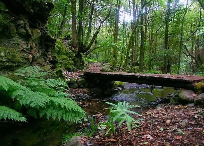Rural Triana فاليهيرموسو