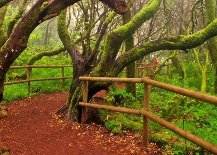 מלון Rural Triana וייהרמוסו